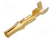 Contact; female; gold-plate MOLEX