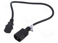 Cable; 3x0.5mm2; IEC C13 female,IEC C14 male; PVC; 0.5m; black AKYGA