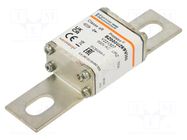 Fuse: fuse; ceramic,cylindrical,industrial MERSEN