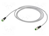 Cable: for sensors/automation; M12; PIN: 4; straight; 2m; plug; 4A MURRELEKTRONIK