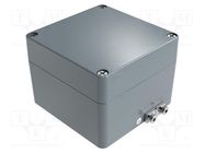 Enclosure: multipurpose; X: 120mm; Y: 122mm; Z: 91mm; aluminium; IP66 ROSE