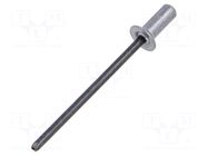 Rivet; aluminium; Rivet diam: 3.2mm; L.rivet: 9.1mm; BN: BN 20927 BOSSARD