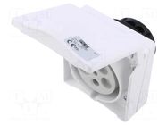 Connector: AC supply 3-phase; socket; female; 32A; 400VAC; Design PCE