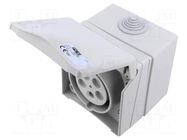 Connector: AC supply 3-phase; socket; female; 16A; 415VAC; Design PCE