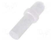 Fiber for LED; Ø3mm; L: 7.9mm; round; Front: convex; straight; PLP1 BIVAR