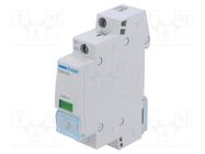 LED indicator; 12÷48VDC; for DIN rail mounting; Colour: green HAGER