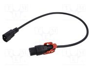 Cable; IEC C13 female,IEC C14 male; 0.5m; orange; 10A; 250V; IP20 SCHAFFNER