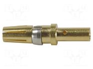 DIN-Signal high current FC 20A crimp HARTING