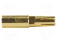 DIN-Signal high current f, 20A screw HARTING