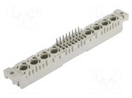 DIN-Signal Mflat24+8FP-4,5C1-1 HARTING
