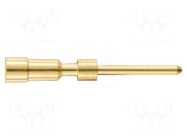 Contact; male; 1mm; gold-plated; 0.08÷0.56mm2; crimped; for cable HARTING