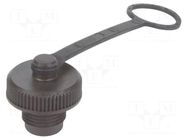 Protection cover; IP67; Application: male M12 connectors HARTING