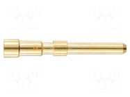 Contact; male; 1.5mm; gold-plated; 0.14÷1mm2; crimped; for cable HARTING