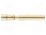 Contact; female; 1mm; gold-plated; 0.08÷0.56mm2; crimped HARTING