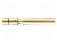 Contact; female; 1mm; gold-plated; 0.08÷0.56mm2; crimped HARTING