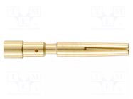 Contact; female; 1.5mm; gold-plated; 0.14÷0.56mm2; crimped HARTING