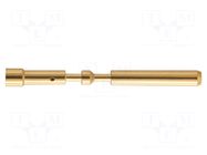 M23 P female-c 1mm (0,75–1,5mm²) Au HARTING