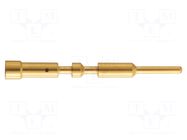 M23 P male-c 1mm (0,75–1,5mm²) Au HARTING