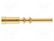 M23 P male-c 2mm (2,5 – 4mm²) Au HARTING