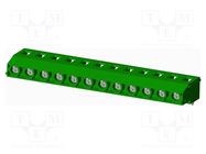 PCB terminal block; on PCBs; THT,screw terminal; terminal AMPHENOL ANYTEK