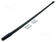 Antenna mast; 0.35m; M5,M6; outside; AM,FM; rubber mast 4CARMEDIA