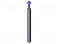 Push rod; Ø: 6mm; screw-in; L: 60mm; Thread: M4x10 INGUN