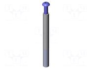 Push rod; Ø: 6mm; screw-in; L: 60mm; Thread: M4x10 INGUN