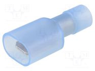 Terminal: flat; 6.3mm; 0.8mm; male; 2mm2; crimped; for cable NICHIFU
