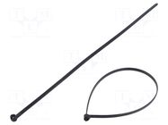 Cable tie; with a metal clasp; L: 300mm; W: 4.8mm; black; polyamide BM GROUP