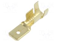 Insulated terminal TS_6,3-6/100 ERKO