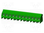 PCB terminal block; on PCBs; THT,screw terminal; 0.75÷1.5mm2 AMPHENOL ANYTEK