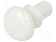 Rivet; polyamide; 2÷3mm; white; Mounting: dismountable,push-in ESSENTRA