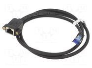 Extender Ethernet; RJ45 socket,RJ45 plug; S/FTP; 6a; stranded; Cu Goobay