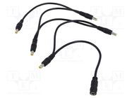 Cable; 2x0.5mm2; DC 5,5/2,1 plug,DC 5,5/2,1 plug x5; straight SUNNY