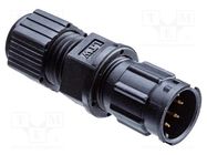 Connector: circular; plug; size B; male; PIN: 4; bayonet; 5A; IP67 AMPHENOL LTW