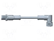 Cable: for sensors/automation; PIN: 4; with plastic nut; plug AMPHENOL LTW