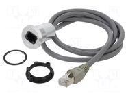 Adapter cable; 1m; RJ45 socket,RJ45 plug; Body: silver ONPOW