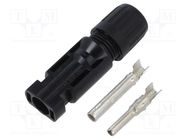 Connector: solar; male + female; straight; 4÷6mm2; with contacts QOLTEC