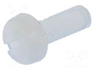Screw; M2x6; 0.4; Head: cheese head; slotted; 0.6mm; polyamide DREMEC