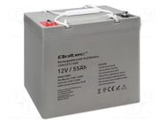 Re-battery: acid-lead; 12V; 55Ah; AGM; maintenance-free QOLTEC