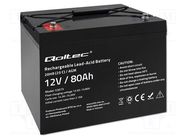 Re-battery: acid-lead; 12V; 80Ah; AGM; maintenance-free QOLTEC