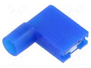 Terminal: flat; Avikrimp; angled 90°; crimped; Contacts: brass MOLEX