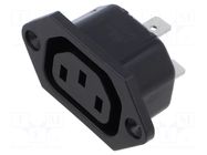 Connector: AC supply; socket; female; 10A; 250VAC; C13 (F); 6600-3 SCHURTER