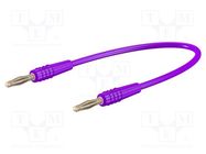 Test lead; 60VDC; 30VAC; 10A; banana plug 2mm,both sides; violet STÄUBLI