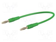 Test lead; 60VDC; 30VAC; 10A; banana plug 2mm,both sides; green 