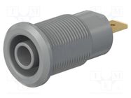 Connector: 4mm banana; socket; 24A; 1kV; Cutout: Ø12.2mm; grey STÄUBLI