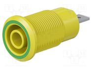 Connector: 4mm banana; socket; 24A; 1kV; Cutout: Ø12.2mm; insulated STÄUBLI