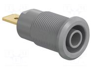 Connector: 4mm banana; socket; 32A; 1kV; Cutout: Ø12.2mm; grey STÄUBLI