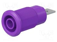 Socket; 4mm banana; 32A; 1kV; Cutout: Ø12.2mm; violet; insulated STÄUBLI