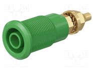 Connector: 4mm banana; socket; 32A; green; gold-plated STÄUBLI